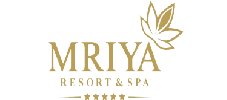The Mriya Logo