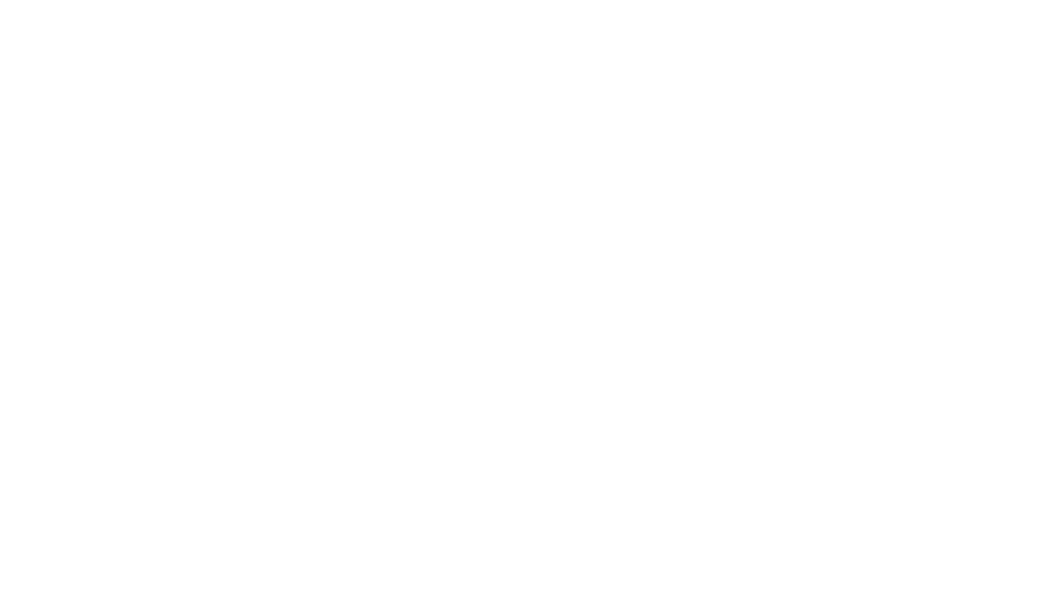 The Sony Logo