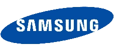 The Samsung Logo